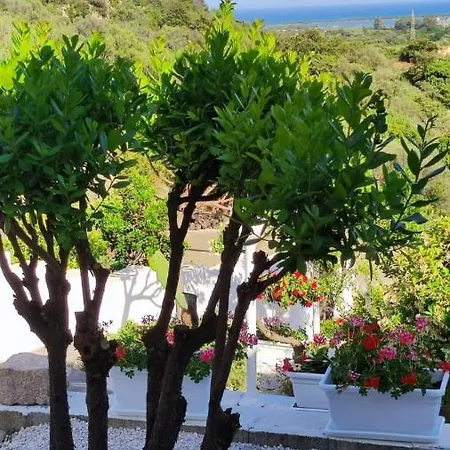 Casa L'ulivariu Bed & Breakfast San Teodoro (Sardinia)
