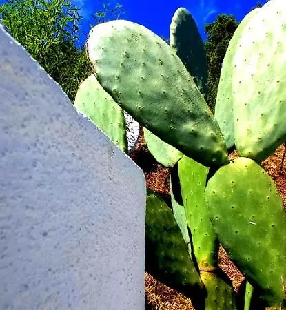 Bed and breakfast Casa L'ulivariu 3*