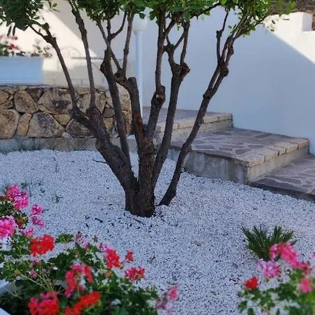 Casa L'ulivariu