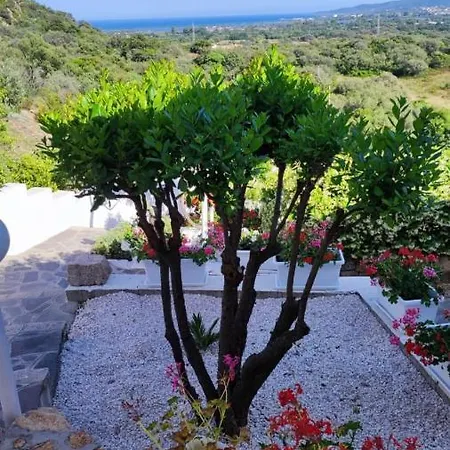 Casa L'ulivariu Frühstückspension San Teodoro (Sardinia)