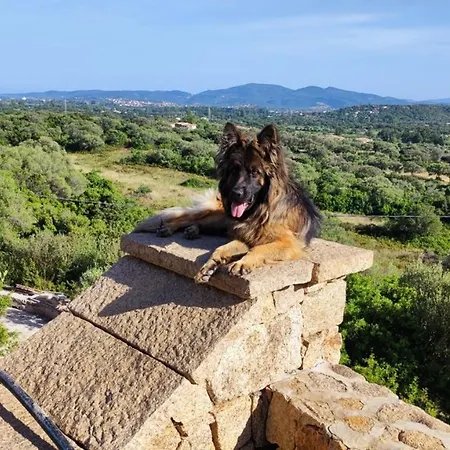 Bed & Breakfast Casa L'ulivariu 3*