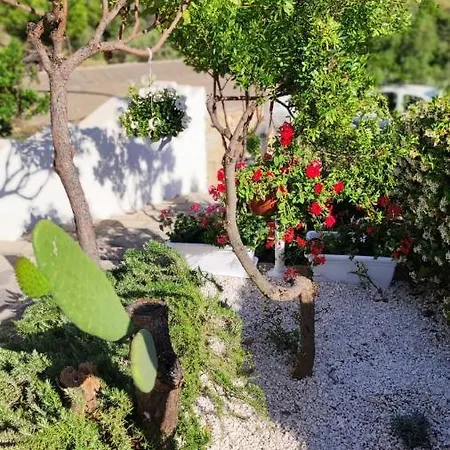 Casa L'ulivariu