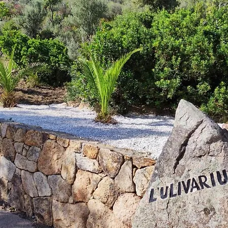 Bed & Breakfast Casa L'ulivariu *