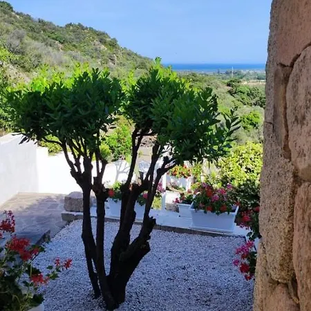 Bed & Breakfast Casa L'ulivariu San Teodoro (Sardinia)