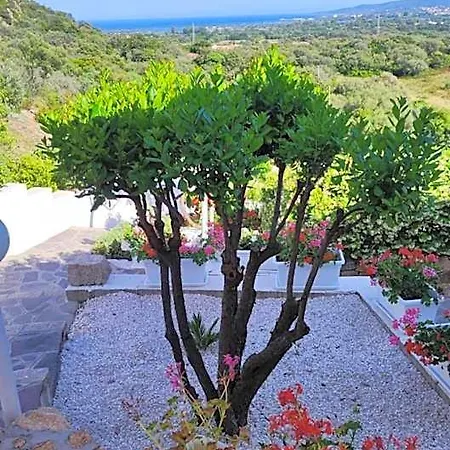 Bed & Breakfast Casa L'ulivariu San Teodoro (Sardinia)