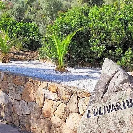 Casa L'ulivariu Bed & Breakfast