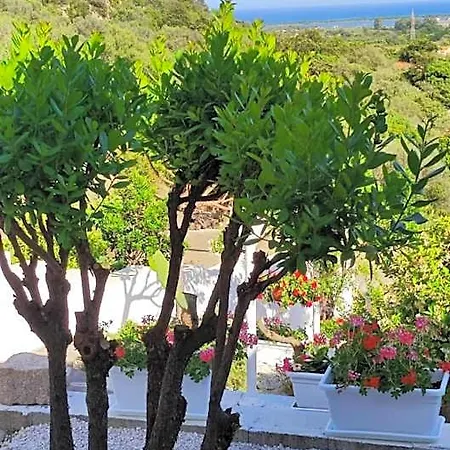 Casa L'ulivariu 3* San Teodoro (Sardinia)