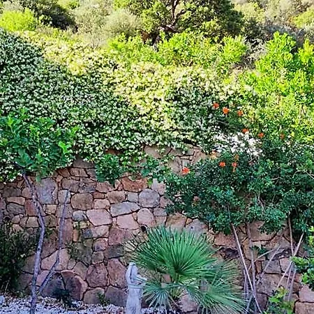Casa L'ulivariu Bed & Breakfast 3*