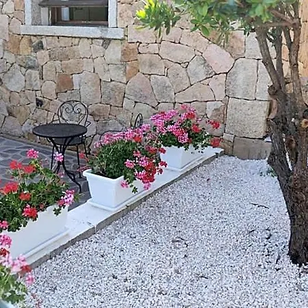 Bed & Breakfast Casa L'ulivariu