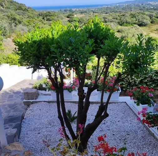 Casa L'ulivariu Bed & Breakfast San Teodoro (Sardinia)