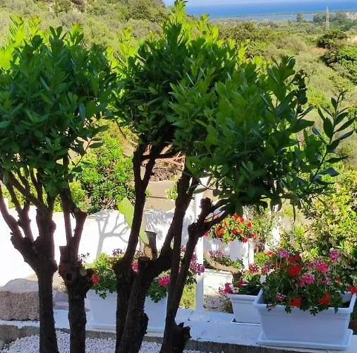 Casa L'ulivariu Bed & Breakfast San Teodoro (Sardinia)