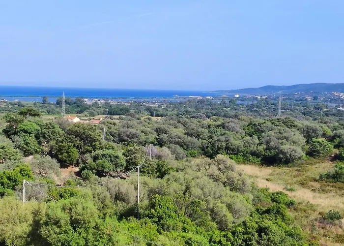 Casa L'ulivariu Bed & Breakfast