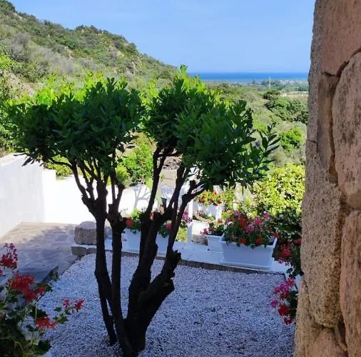 Bed & Breakfast Casa L'ulivariu San Teodoro (Sardinia)